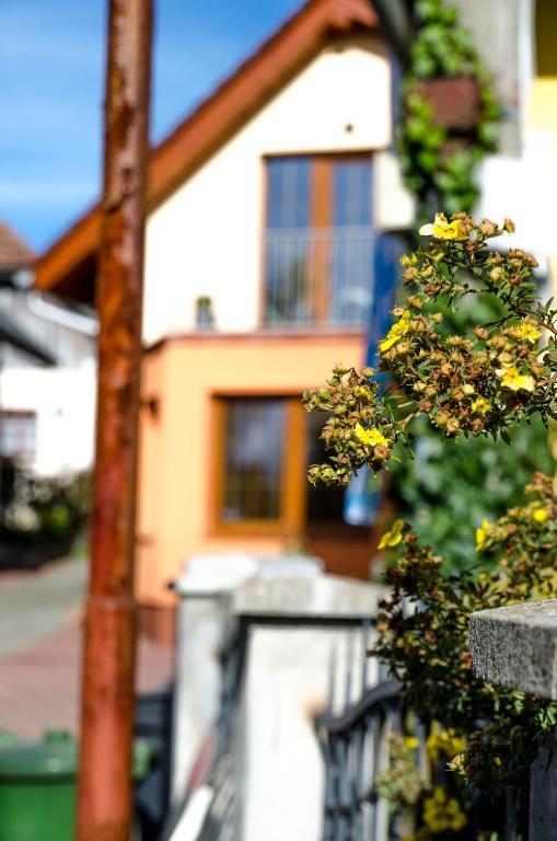 Relax Penzion U Adama Dolná Tižina Eksteriør billede